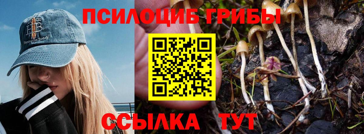 Псилоцибиновые грибы Cubensis  купить наркотик  Аксай  Вход с VPN  Псилоцибиновые грибы MAGIC MUSHROOMS 
