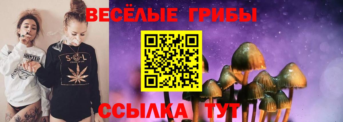 Псилоцибиновые грибы мухоморы Аксай